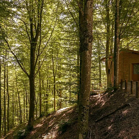 Oasyhotel * Limestre