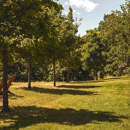 מלון Oasyhotel *