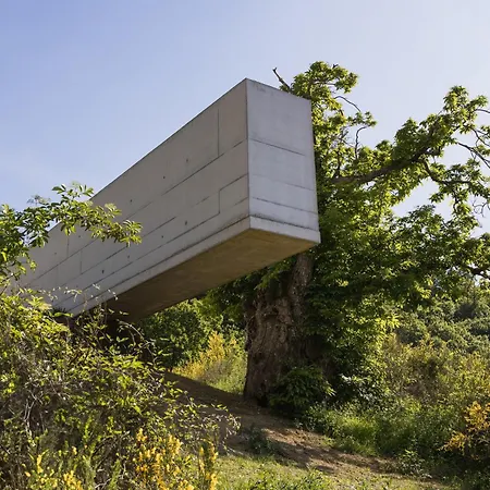 Oasyhotel מלון Limestre